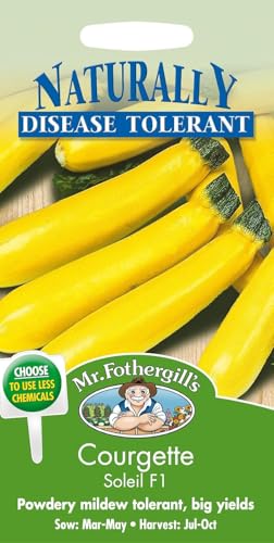 Mr. Fothergill's 14176 Samen Zucchini, Soleil F1