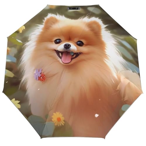 Pomeranian Dog_81520767 Print 3 Fold Auto Umbrella Waterproof and Wind-Resistant, Ideal Gift for Travel and Outdoor Activities