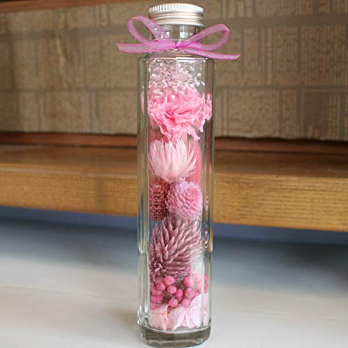 u{ghhht[vvU[uht[AWg(sN)n[oE`J[l[VEVo[f[W[EEJX~\E`̓ɂԂ̃Mtg