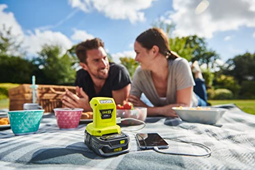 Ryobi Chargeur OnePlus R18USB - vue 6