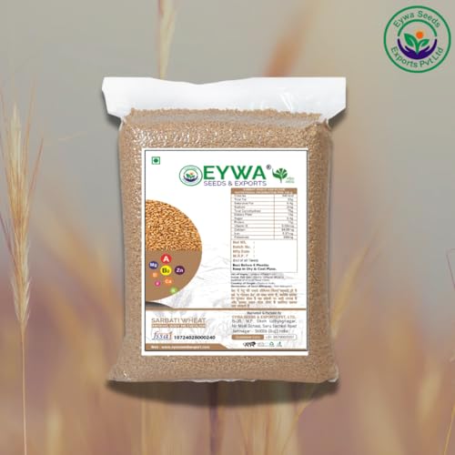 Image of Organic Sarbati Wheat Grains 5 kgs For Eating And Cookings | Premium Grains /Gehu By EYWA