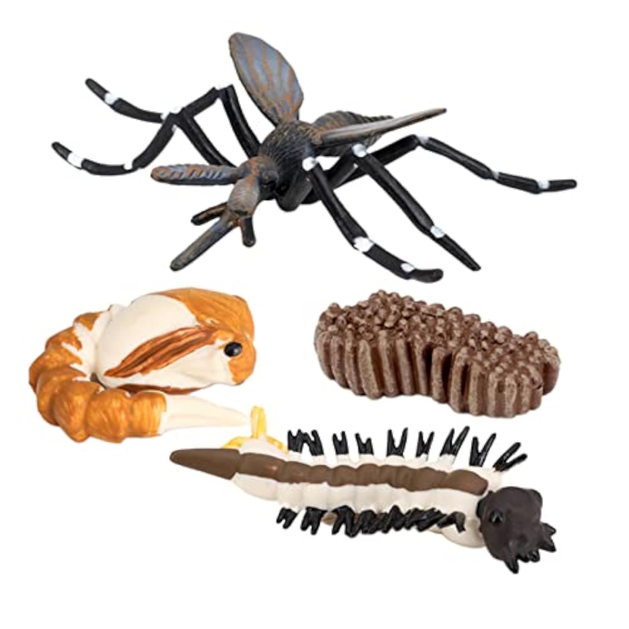Kids Insect Growth Cycle Figure Model for Imagination & Biology
