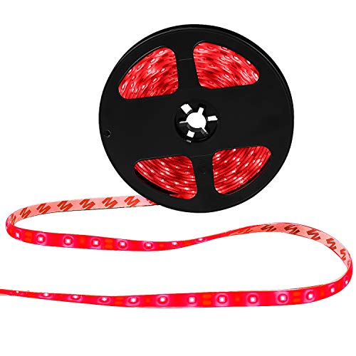 XKTTSUEERCRR Waterproof Blue LED 3528 SMD 300LED 5M 16.4Feet Flexible Light Strip 12V 2A 24W 60LED/M (Red)