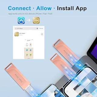 Chiavetta USB 512gb per Phone,Levida Memoria Esterna per scaricare foto,Pen Drive USB C 3.0,Photo Stick,4 in 1 USB Stick per IOS/Smartphone/Pad/Android/PC(Foto/Video/Backup Automatico),Rosa chiaro