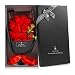 Wodasi Fiori di Sapone Bouquet, Sapone Fiore di Rosa, Scatola Fiori di Sapone da Donna con Biglietto D'auguri, Confezione Regalo Fiori Finti Sapone Artificiale per Regalo Floreale per Donna, Rosso