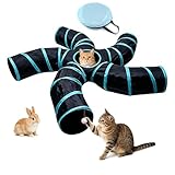 Bemodst Road Tunnel pour Chat, 2 Voies/3 Voies/4 Voies/5 Voies Tubes de...