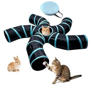 Bemodst Katzentunnel, 2-Wege/3-Wege/4-Wege/5-Wege Faltbar K&auml;tzchen Tunnel Katzenspielzeug interaktives Pop-Up-Labyrinthhaus-Spielzeug f&uuml;r kleine Kaninchen,Welpen,Frettchen,Meerschweinchen (5-Wege)