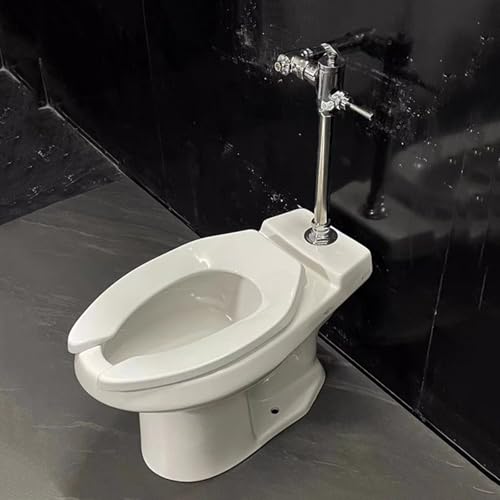 Sanitario de altura cómoda para uso comercial, con válvula de descarga manual, material cerámico, instalación en piso y drenaje de piso, desplazamiento de 4.5L miniatura 1