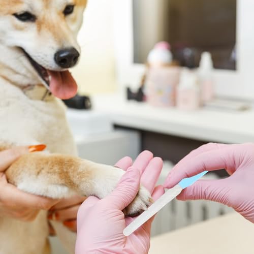 2 piezas Cortauñas Gato Cortaúñas Gatos Profesional de Acero Inoxidable Corta Uñas Gatitos Profesional Cortaúñas para Gatos Tijeras Gatos Acero Inoxidable Tijeras Uñas Gato con 2 piezas Lima de Uñas - imagen 6