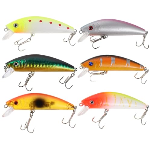 MUELODSIC 6 A[gނ ނãA[ ނpi lH