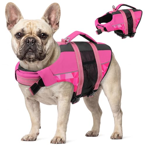 CITÉTOILE Schwimmweste Hund, Hunde Schwimmweste mit Griff und Reflektierend, Rettungsweste für Kleine Mittlere und Große Hunde mit Guter Auftrieb, Leicht und Sicher für Wassersport Rosa M
