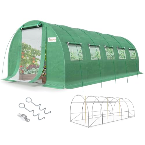 KING BIRD 25x10ft Greenhouse with Metal Frame
