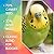SkyGold Budgie 70/30 20Kg Cage and Aviary Food