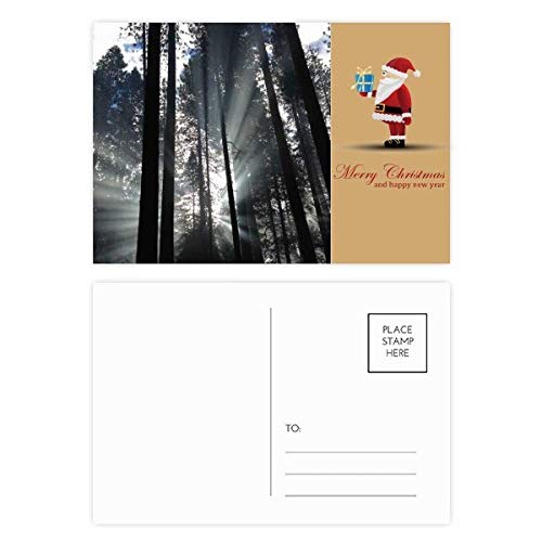 Cartes postales imprimées Père Noël Forestry d'une grande finesse visuelle