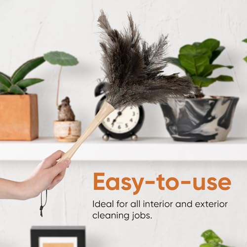 Image of Superio Ostrich Feather Duster Fluffy Dust Remover, with Wooden Handle Reusable for Cleaning Homes, Ceilings, and Furniture (6 Pack)