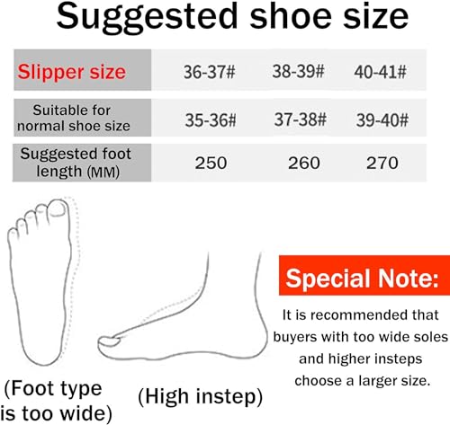Image of INFISPACE Men and Women Winter Flip Flops Carpet Slippers for Bedrooms House Slippers