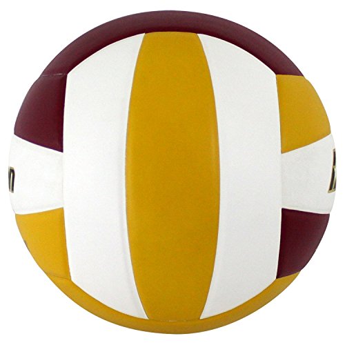 Image of Baden | Perfection | Premium Leather | Indoor Official Game Volleyball | 13U to College | Official Size + Weight | NFHS + AVCA Approved
