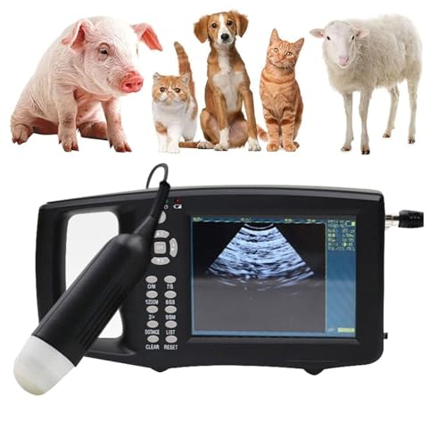 Sonda digital portátil de ultrasonido de embarazo de 3,5 MHz, 5 modos de imagen para ganado, caballos, mascotas, ganado