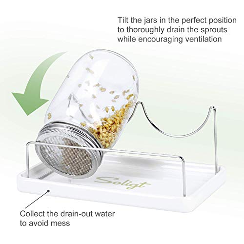 Image of Complete Mason Jar Sprouting Kit - 2 Wide Mouth Quart Sprouting Jars with 316 Stainless Steel Sprouting Lids, Drip Tray and Stand