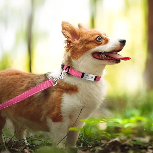 TagME Hundehalsband personalisiert, Reflektierendes gepolstertes Nylon Hundehalsband für kleine Hunde mit Namen und Telefonnummer