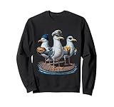Regalos Divertidos Gaviotas Y Humor Costero