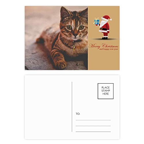 Cartes postales chat père Noël lot de 20 cartes de vœux originales et humoristiques