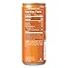 Izze Sparkling Clementine Juice, 8 Cans/ 8.4 Fl Oz each - Natural Sparkling Water & Fruit Juice Blend with Stainless Steel Coffee Beverage Stirrers - No Added Sugar, Low Sodium, Perfect for Refreshin