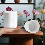 MUZHI Double Layer White Ceramic Orchid Planter with Saucer, Orchid Pots with Holes 4.6" Set of 2, Modern Minimal Cylinder Striped Plant Pot with Drainage 4.6” (White)