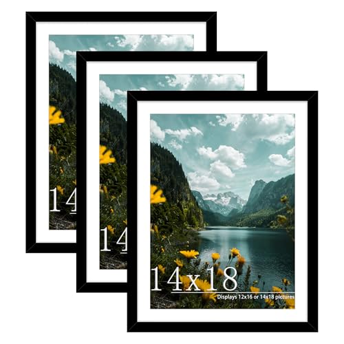 Picrit 14x18 Picture Frame 3 Pack, Black Poster Frame, Display Poster 12 x 16 with Mat or 14 x 18 without Mat for Horizontal or Vertical Wall Mounting