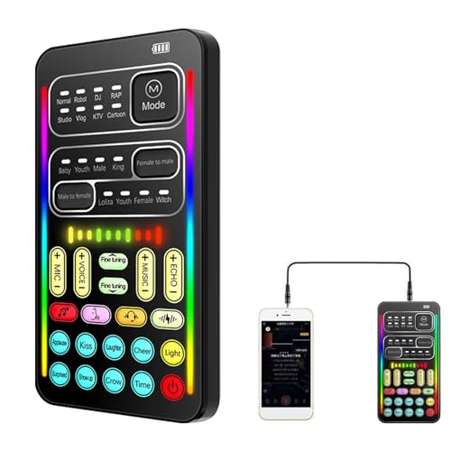 Changeur de voix portable multifonctionnel avec 8 effets sonores et microphone intégré