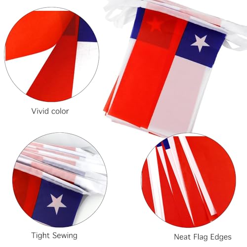 Image of Chile Flags Chilean String Flag Banners for Patriotic Events Independence Day Sports Bars Inside Outside Decorations 33 Feet 30 Flags