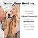 Sensipharm Inconti Stop Blasen-Formel für Hunde - Unterstützt Blasenfunktion bei Blasenschwäche, Inkontinez, Harnverlust & Urinverlust - 90 Tabletten a 1000 mg.