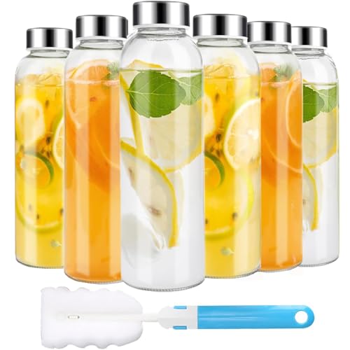 Winsoyya Clear Glass Bottles with Lids 18 oz Reusable Glass Water Bottles with Stainless Steel Cap for Hot & Cold Drinks Juicing or Water Coffee Refrigerator 100% Leak Proof BPA Free Set of 6