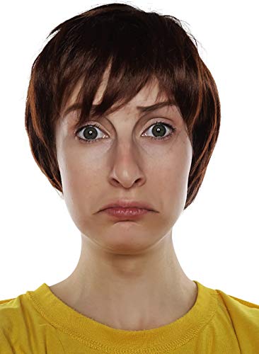 ALLAURA – Morty Costume Short Brown Wig Shaggy Costume Men, Mens Shaggy Wig 60s Wigs Mod Sonny Austin for Adults – Mens Halloween Wig