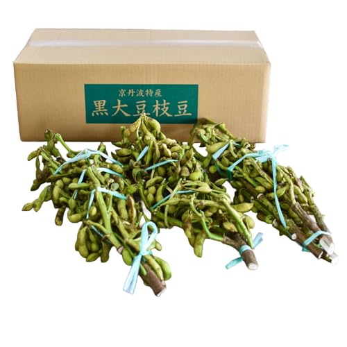≪先行予約≫丹波黒枝豆 枝付き 3kg(京都 京丹波町産 丹波黒大豆)≪秋だけの期間限定≫