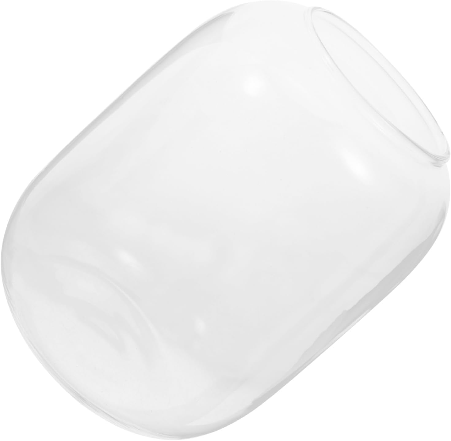 BESPORTBLE Glass Plant Landscape Bottle Vase for Hydroponics Microlandscape and Fish Tank Decor Modern Decor for Dining Table Shelf Mantle