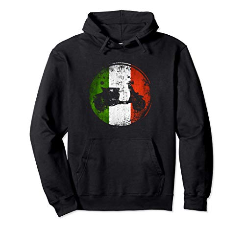 Bandera de Italia de scooter de motor italiano vintage Sudadera con Capucha
