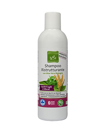 Benessence Shampooing Restructurant à l'Aloe Vera Bio - 250 ML