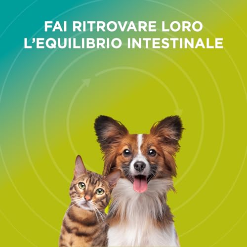 Youact Entero Sos 7+7 Bustine - Mangime Complementare Per La Riduzione Dei Disturbi Intestinali Acuti. Fermenti Lattici Cane E Gatto In Caso Di Diarree Acute E Periodi Di Convalescenza Successivi. - 4