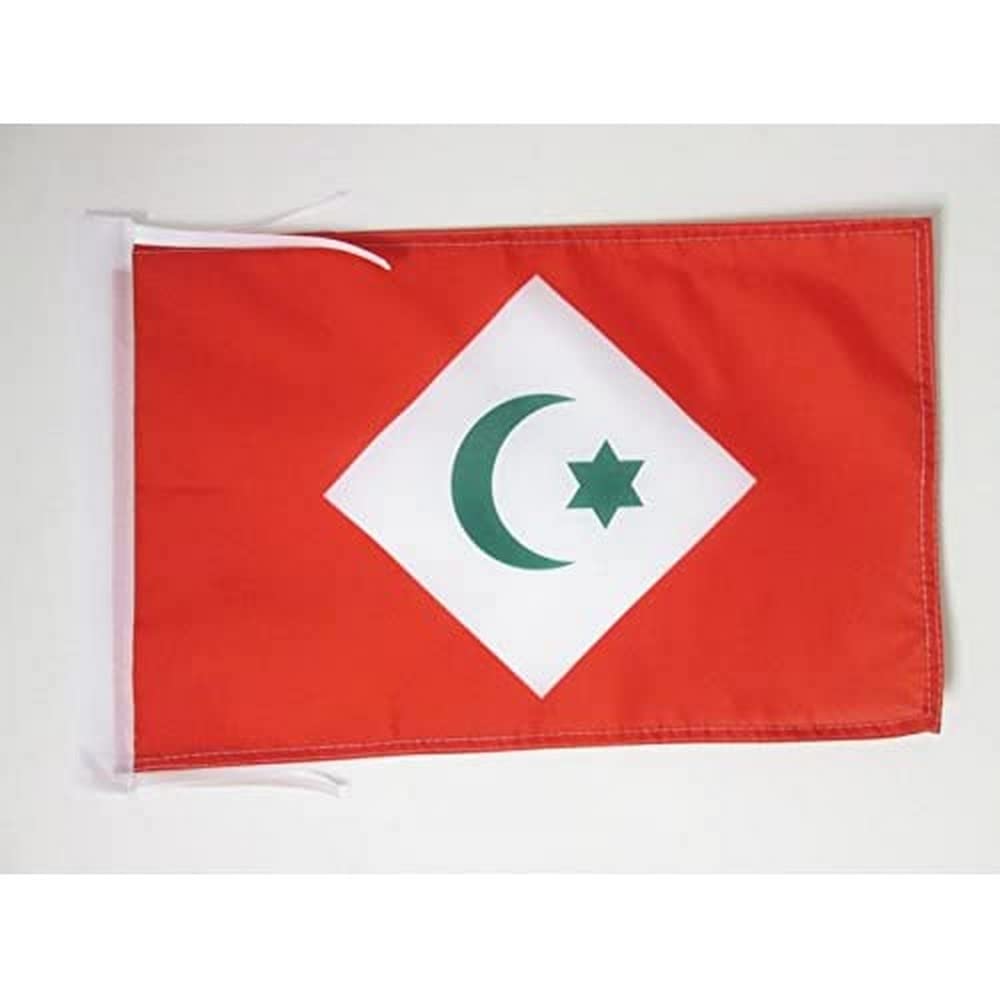 Iran Old Persia Flag 18'' x 12'' cords - Persian SMALL flags 30 x 45cm - Banner 18x12 in - AZ FLAG — view 215
