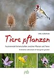 tiere pflanzen pilze  Tiere pflanzen: Faszinierende Partnerschaften zwischen Pflanzen und Tieren - 18 attraktive Lebensräume im Naturgarten gestalten