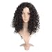 MapofBeauty 20"/50cm Fashion and Sexy Afro Women Curly Wig (Black)