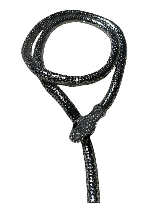 See full amazon price history chart for LA BELLEZA Elegant Snake Lightweight Hollow Sparkling Rhinestone Magnet Snake Animal Chain Necklace Collection For Women Men (Gun Black) LA BELLEZA Elegant Snake Lightweight Hollow Sparkling Rhinestone Magnet Snake Animal Chain Necklace Collection For Women Men (Gun Black) (B0DC6MT4T8) Amazon Price History, Amazon Price Tracker