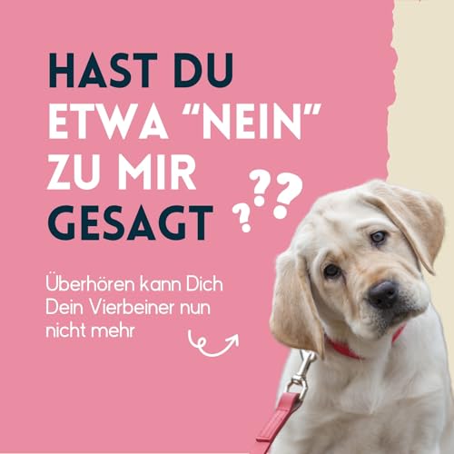 nimo® Ohrenreiniger | für Hunde, Katzen & Haustiere mit Aloe Vera & Panthenol | schonend natürliche Reinigung gegen Juckreiz, Infektionen, Ohrenschmalz, Entzündung & Ausfluss | minimiert Kopfschütteln