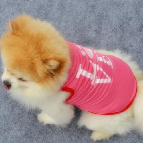 Ropa de verano para mascotas PANGBOER con chalecos estampados divertidos sin mangas 8