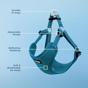 Best Pet Supplies Voyager Adjustable Dog Harness with Reflective Stripes for Walking, Jogging, Heavy-Duty Full Body No Pull Vest with Leash D-Ring, Breathable All-Weather - Harness (Turquoise), L Best Pet Supplies Voyager Adjustable Dog Harness with Reflective Stripes for Walking, Jogging, Heavy-Duty Full Body No Pull Vest with Leash D-Ring, Breathable All-Weather – Harness (Turquoise), L
