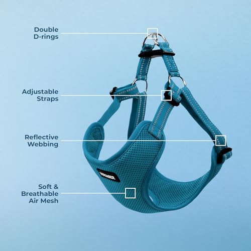 Best Pet Supplies Voyager Adjustable Step-in Flex Breathable Mesh Dog Harness for Small Medium Large Dogs (Turquoise), S by Best Pet Supplies - Image 3