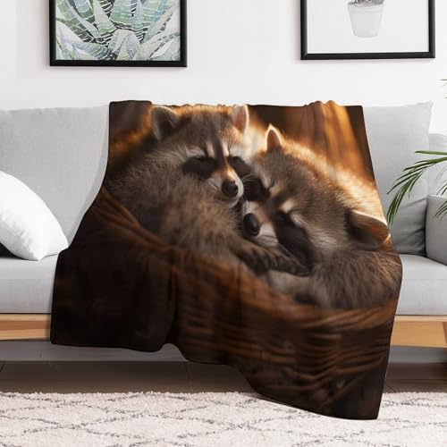 Couverture raton laveur pour des soirées cocooning sur le canapé