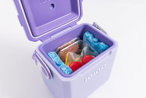 Igloo Maxcold Ice Block - Image 6