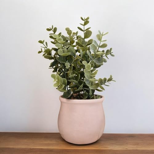 Image of Chitra Artificial Fern Plant with Pot for Home, Office, Living Room & Counter Decoration | Realistic Faux Greenery for Indoor Use | Durable Plastic Pot (2)